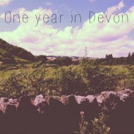 One year in Devon or, “Things turn out OK in the end”