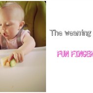 The weaning diaries: introducing finger foods with Organix
