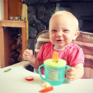 Baby buys: the high chair