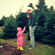 Christmas trees and kids: the dream vs the reality
