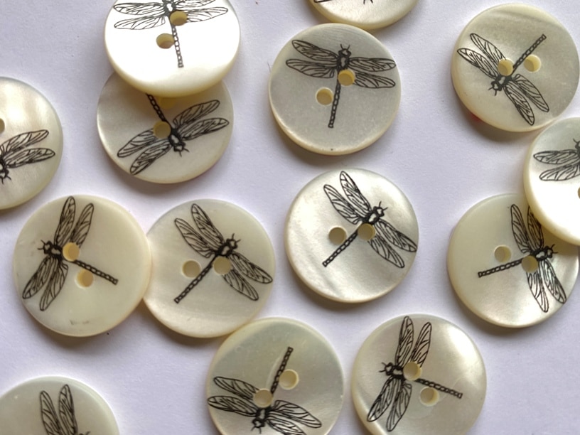 Button Dragonfly