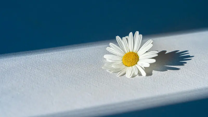 Clothespin Daisy Flower