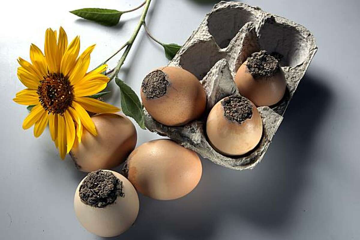 Eggshell Seed Bombs