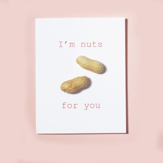 Nuts for You Valentine Card
