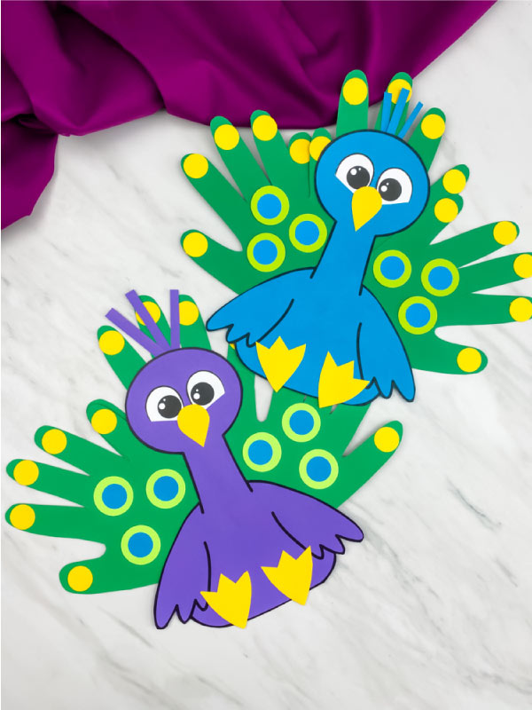 Pretty Peacock for Toddlers