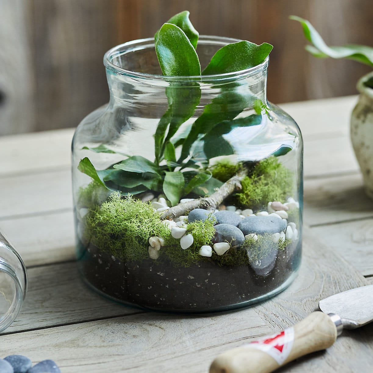 Recycled Glass Bottle Terrariums