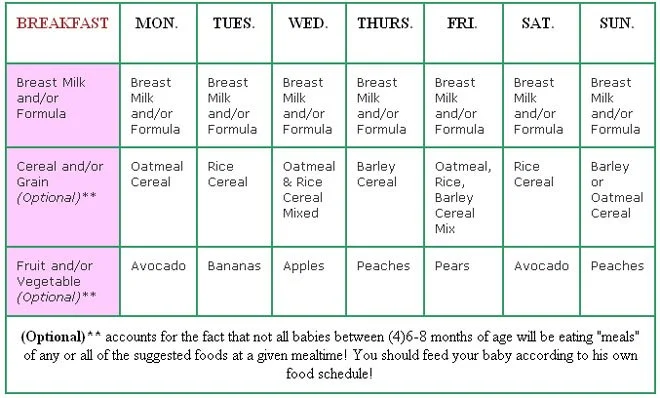 Sample of The Feeding Schedule of 7 Month Old