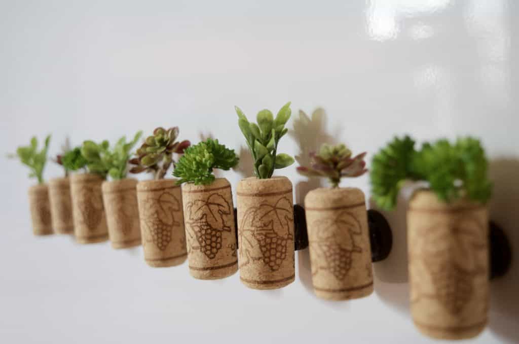 Wine Cork with Succulents