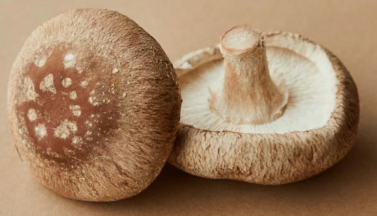 Mushrooms (portobello, shiitake)
