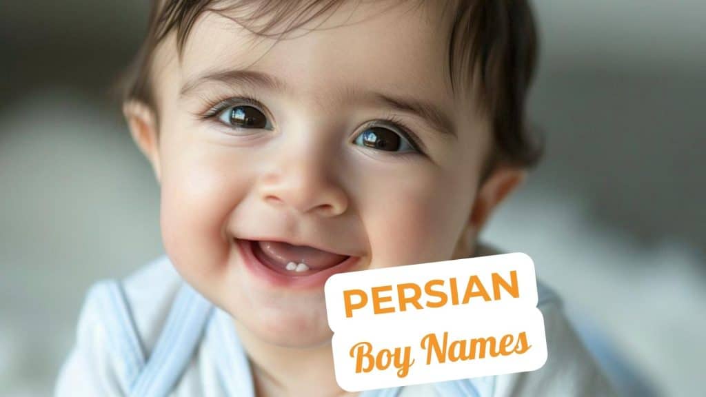 Top 230 Persian Boy Names in 2024 Mothers Always Right