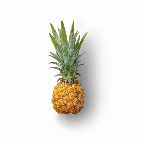 Ripley Queen Pineapple