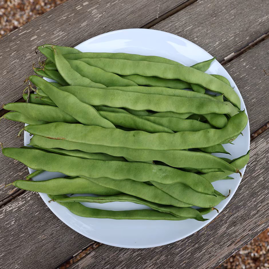 Runner Beans