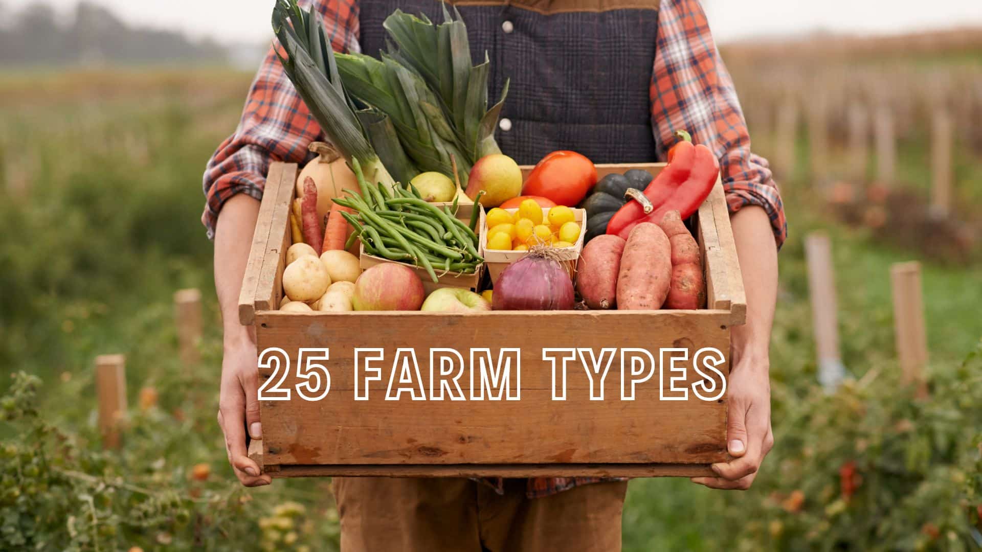 Types of Farms You Should Know About