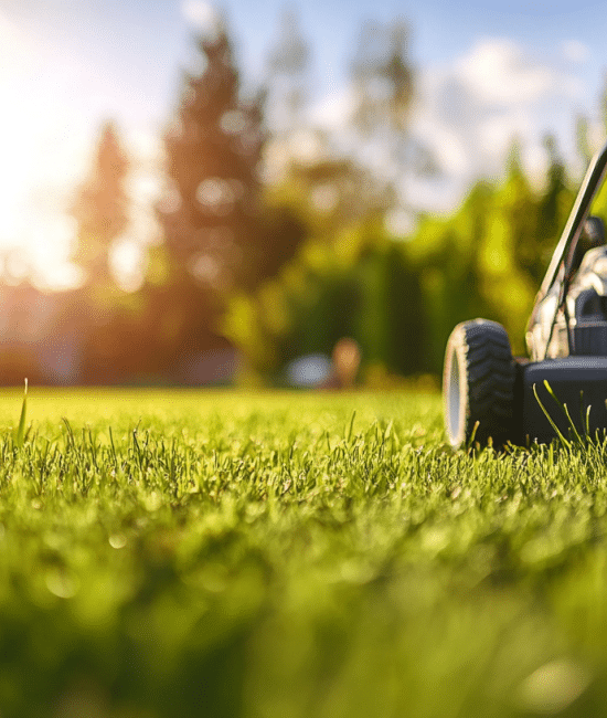 How to Choose the Right Lawn Care Service Provider for Your Home