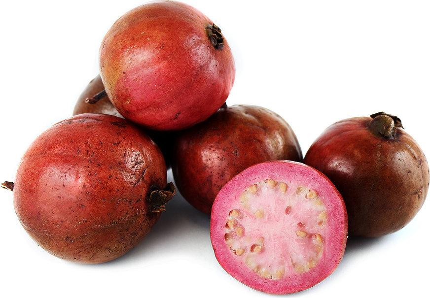 Lemato_Lemon-Tomato_Hybrid