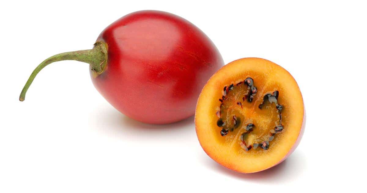 Tamarillo