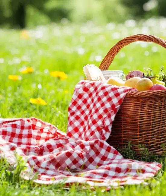 8 Simple Picnic Food Ideas That Are Easy to Pack and Serve