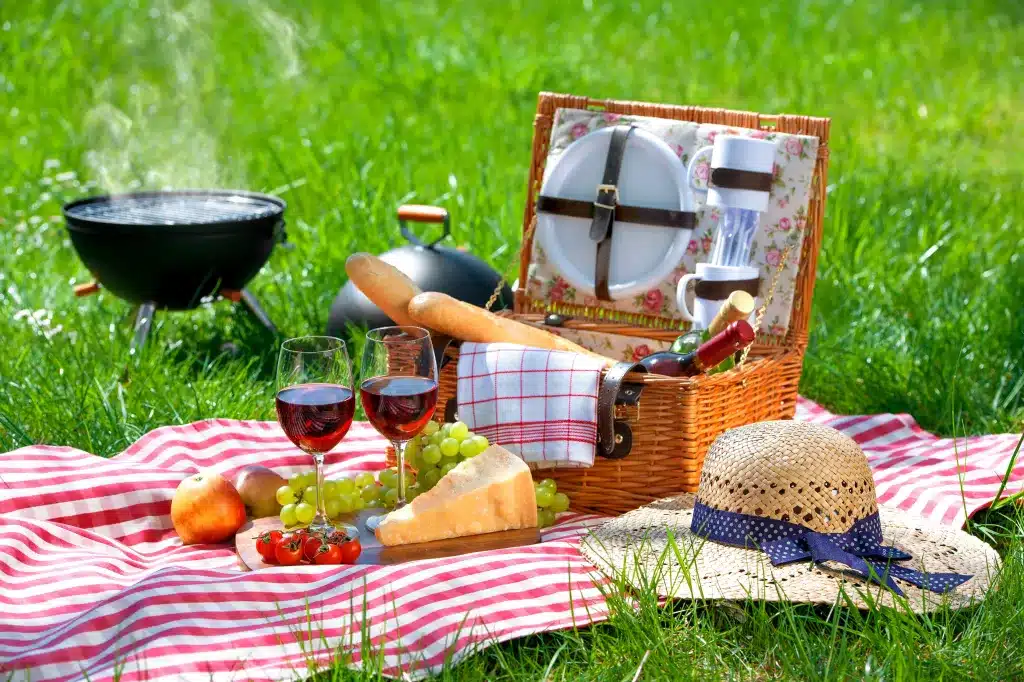Simple And Easy To Prepare Picnic Feast