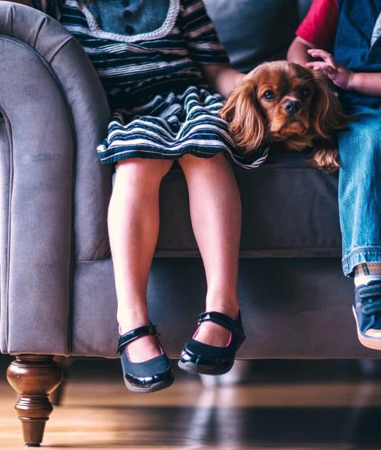 How Do Pets Enhance Children's Emotional Well-Being?