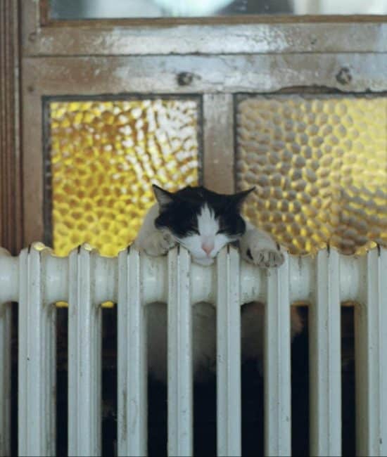 Heating Systems of Tomorrow: What to Expect