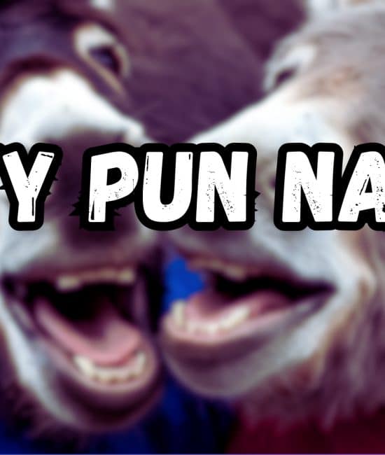 555 Dirty Pun Names That Will Make You Laugh