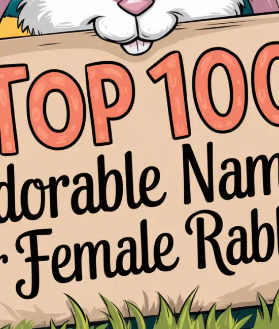 Adorable Names for Female Rabbits