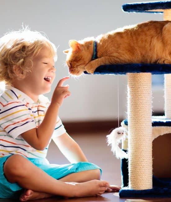Renovation Survival Guide – What to Do with Kids and Pets When Construction Takes Over