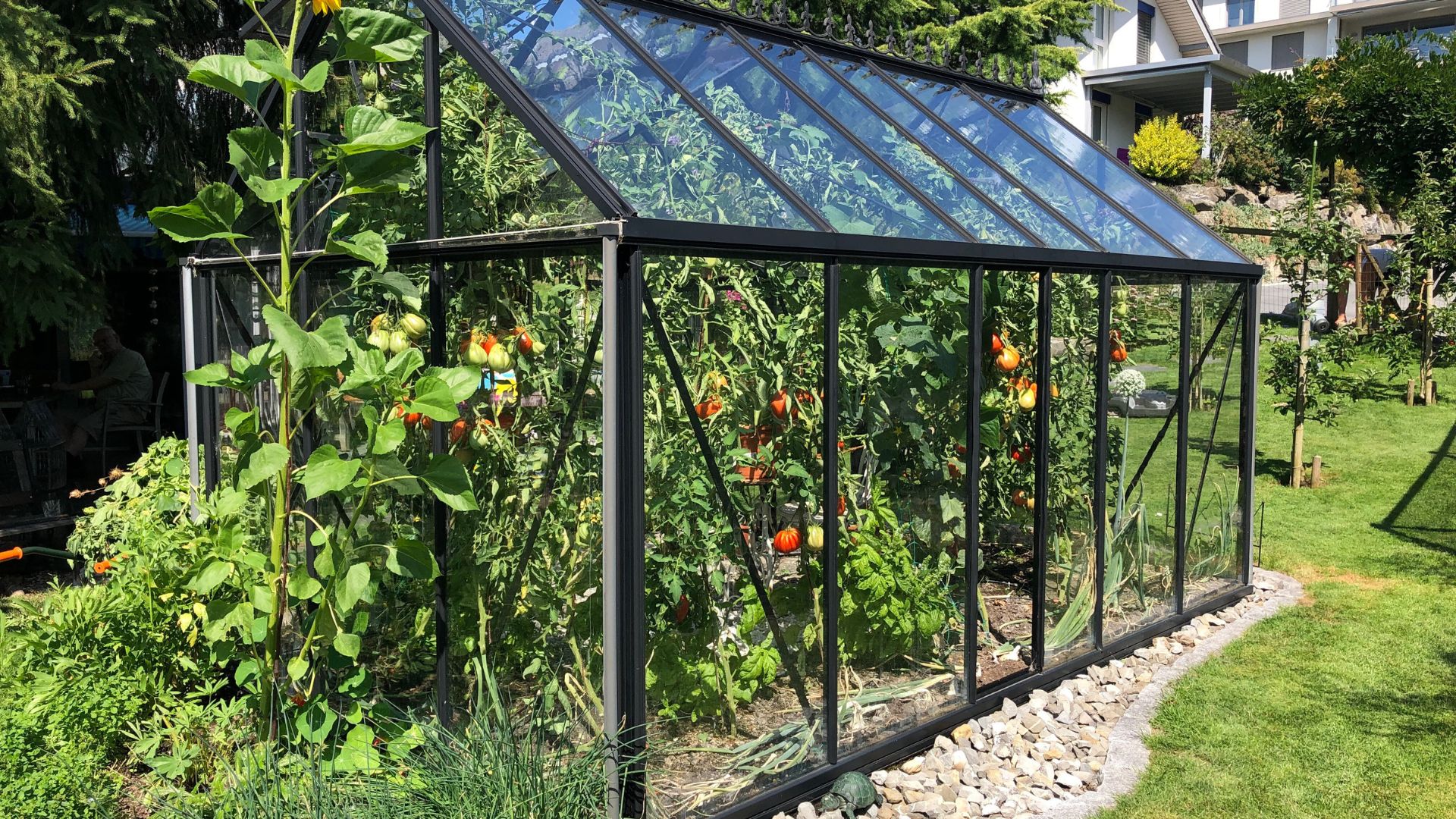 The Ultimate Guide to Choosing the Best Greenhouse for Your Garden