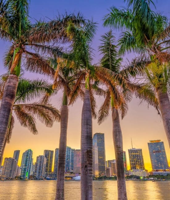 Things to Know Before Relocating to Miami