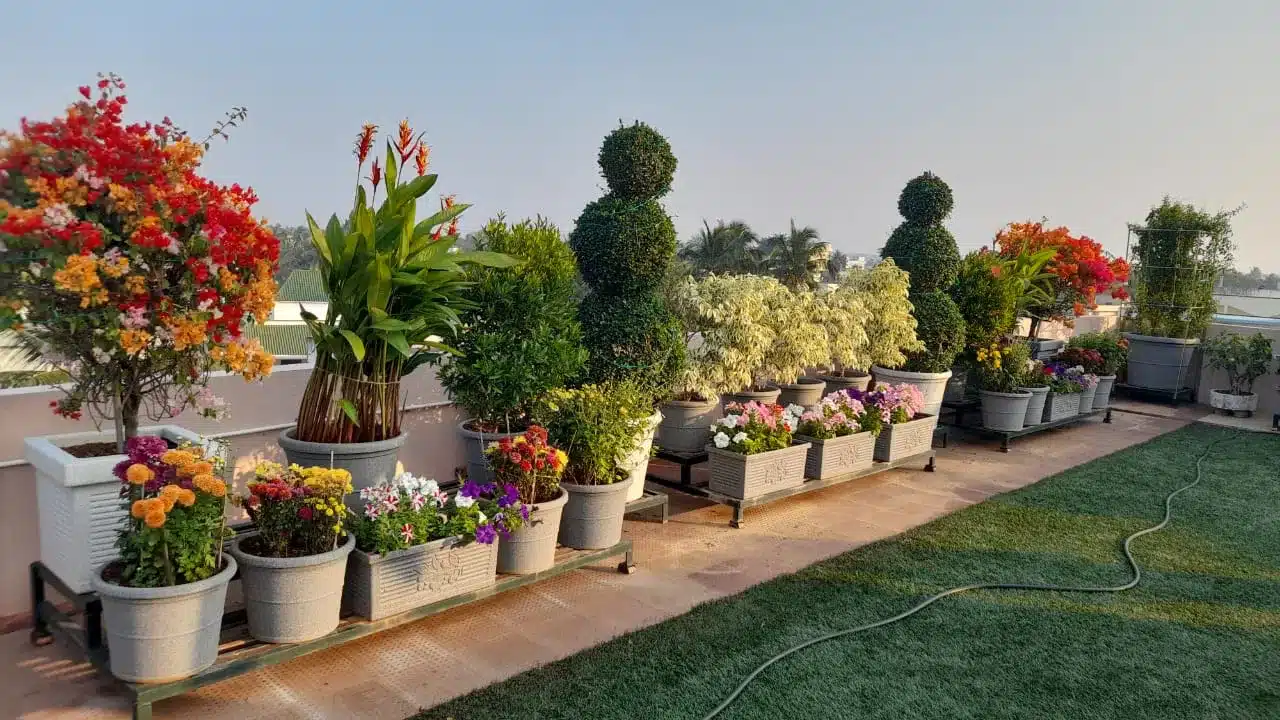 What Makes a Good Outdoor Planter?