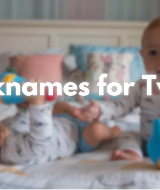nicknames for twins