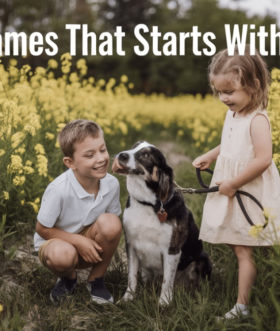 nicknames that start with p