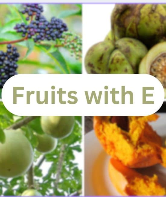 25 Fruits that Start with The Letter "E"