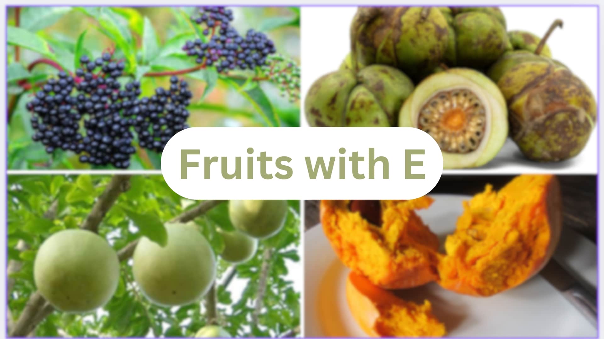 25 Fruits that Start with The Letter "E"