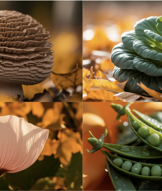 9 Vegetables that Start with The Letter "M"