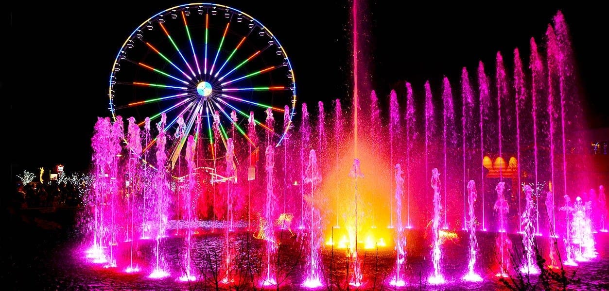 A Mesmerizing Light Show Beneath the Stars