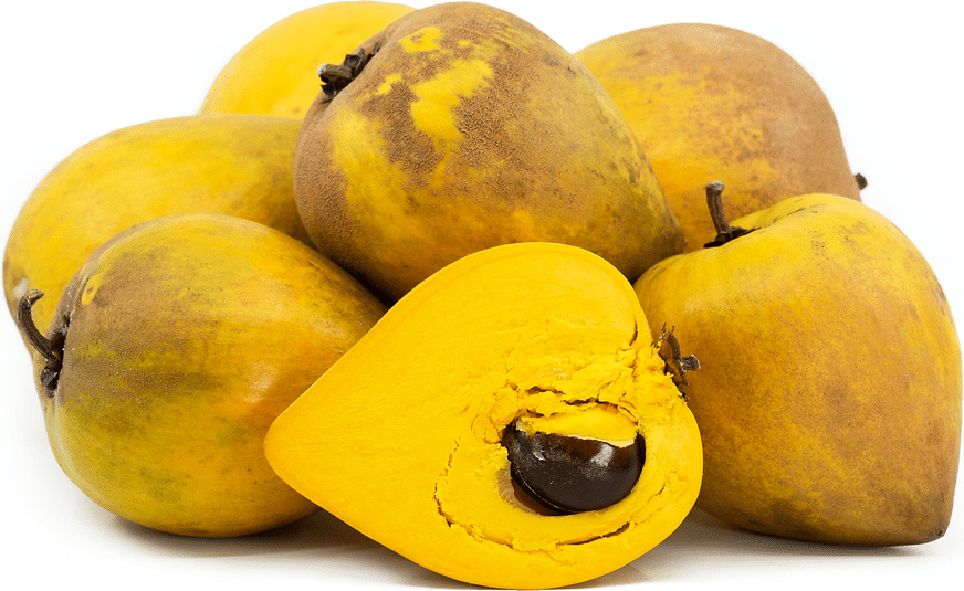 Eggfruit