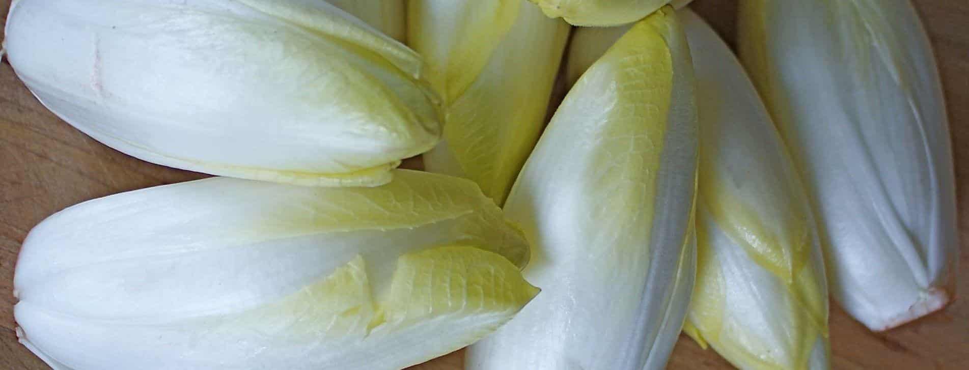 Endive