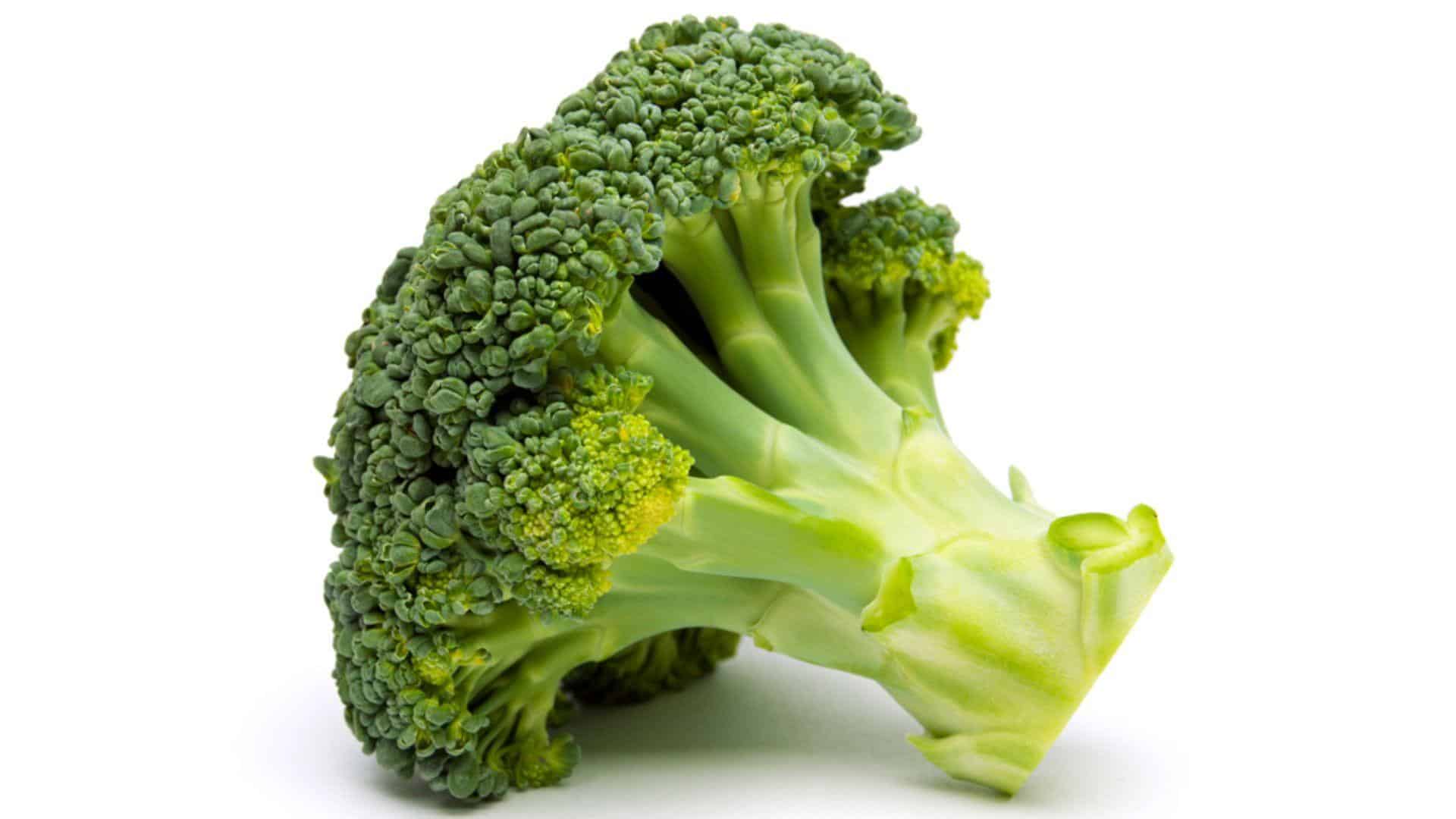 English_Broccoli