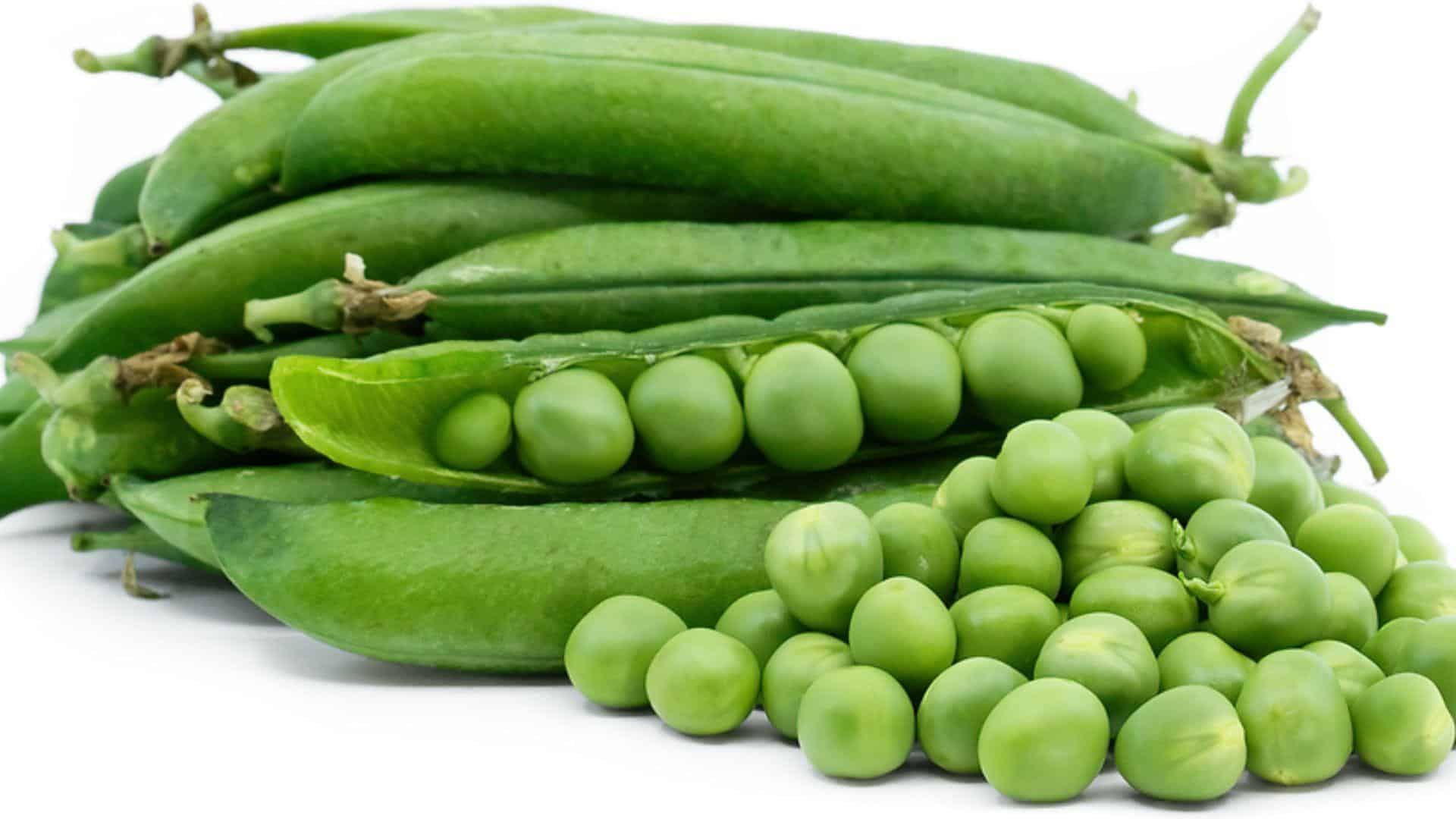 English_Peas