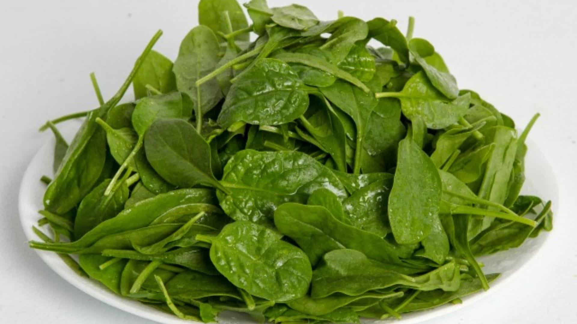 English_Spinach