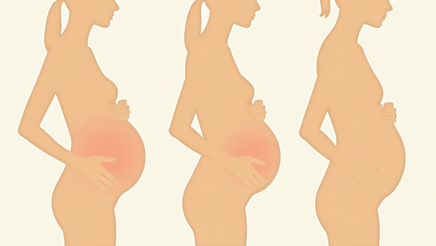 Hip_Pain_During_Pregnancy_in_The_First_Second_and_Third_Trimesters