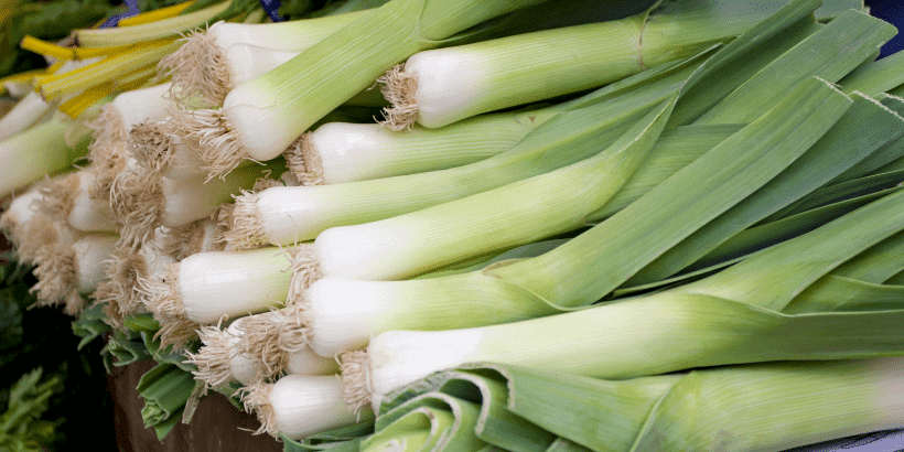 Leek