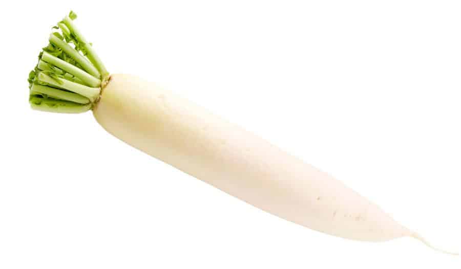 Lo_bok_daikon_radish