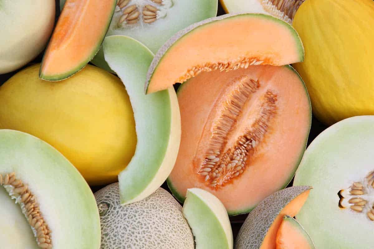 Ogden_Melon