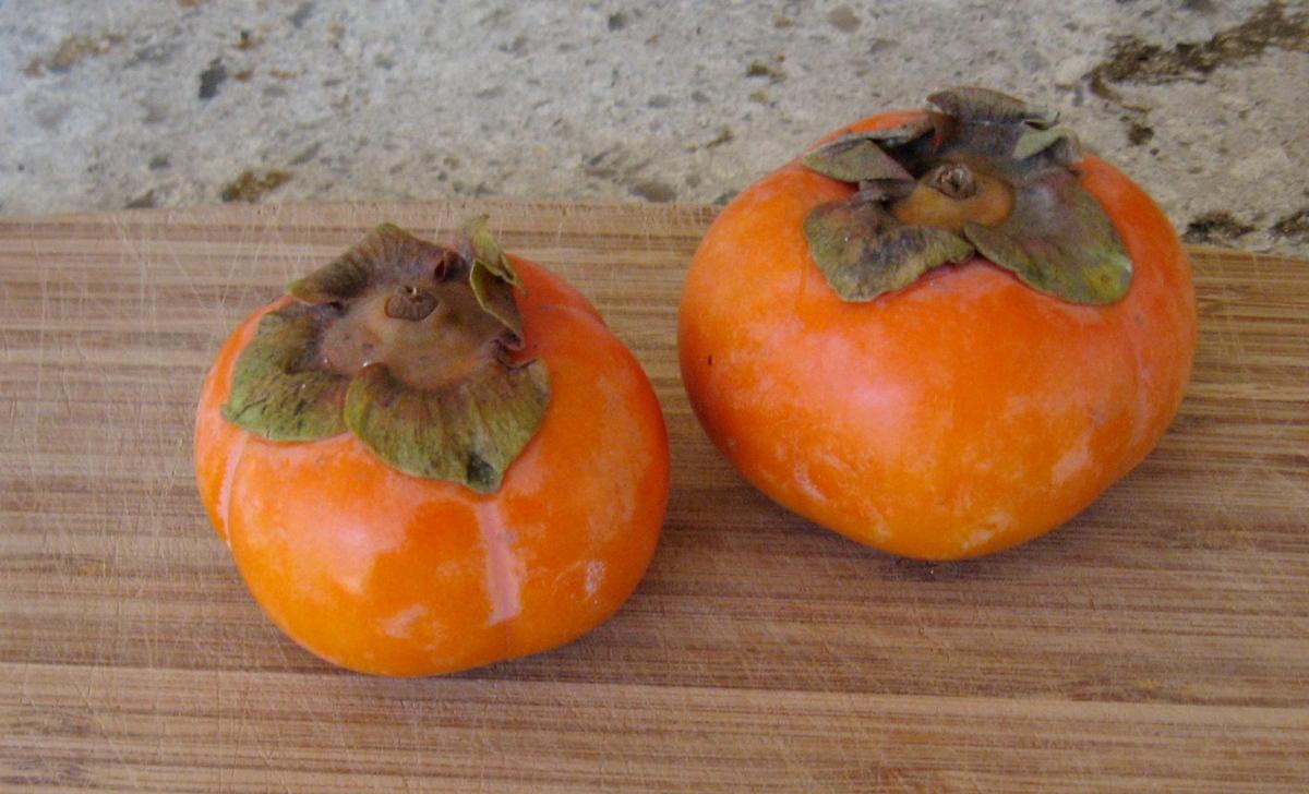 Persimmon