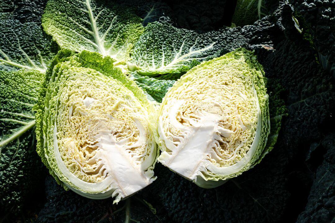 Pointed_Cabbage