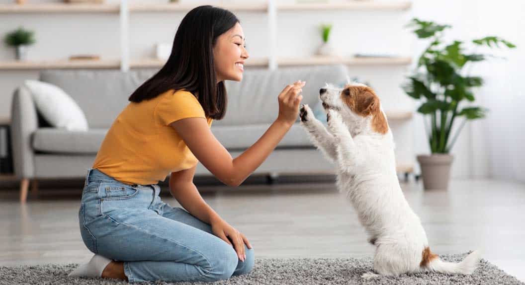 The Benefits of Keeping Pets at Home