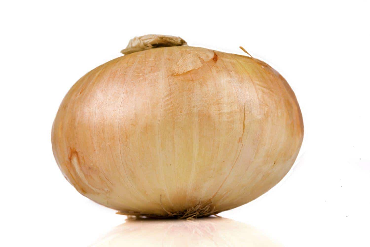 Vidalia_Onion