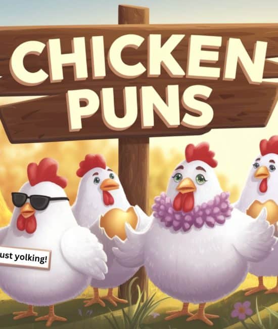chicken-puns